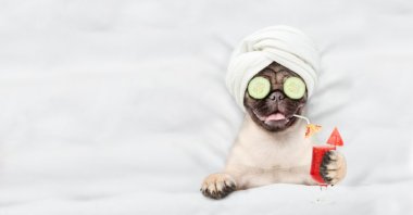 From the bizarre to the extraordinary, 2024 was a year filled with unusual stories that captured the world’s attention. (Shutterstock Photo)