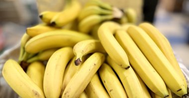 Rising temperatures and changing rainfall patterns are also accelerating the spread of soil-borne fungal infections, further jeopardizing banana production. (Shutterstock Photo)